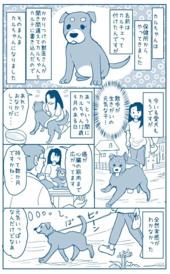 木曜定期エッセイ

愛犬を見送った時のお話です。

「寝袋と除夜の鐘」

#エッセイ漫画 
 #漫画 