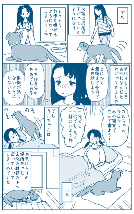 木曜定期エッセイ

愛犬を見送った時のお話です。

「寝袋と除夜の鐘」

#エッセイ漫画 
 #漫画 