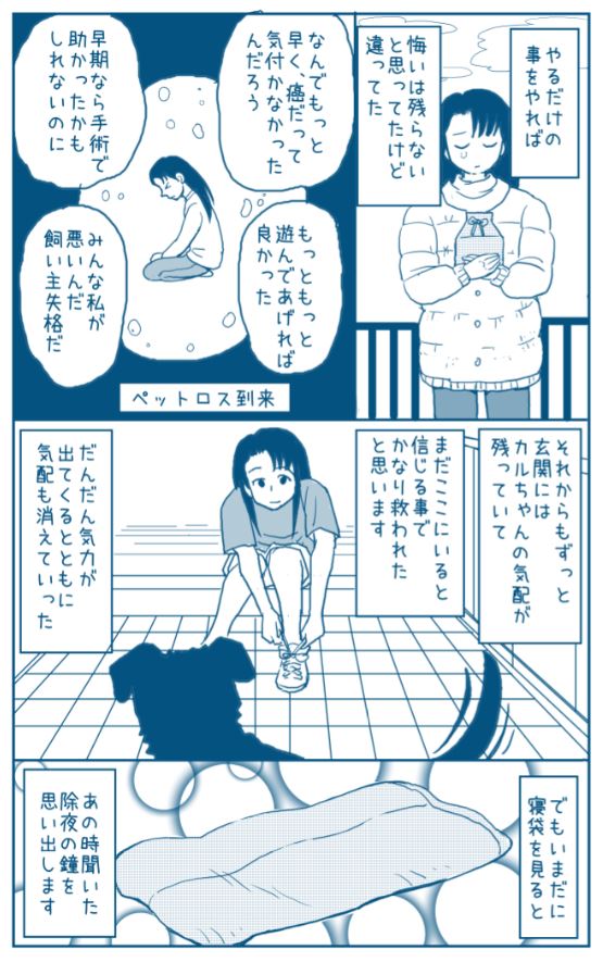 木曜定期エッセイ

愛犬を見送った時のお話です。

「寝袋と除夜の鐘」

#エッセイ漫画 
 #漫画 