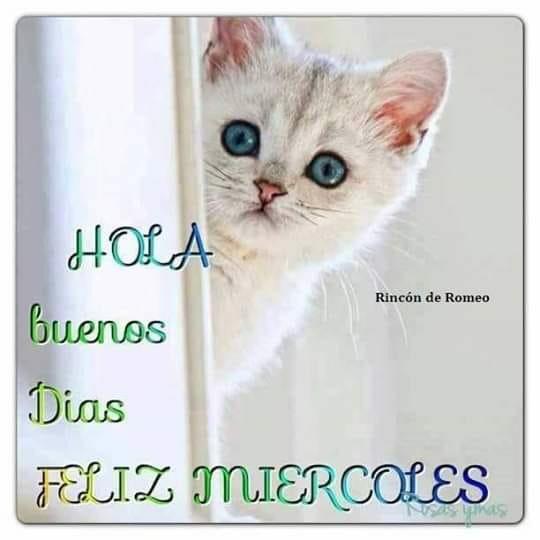 Listos para la siguiente foto? https://t.co/qG2D6yCLOt