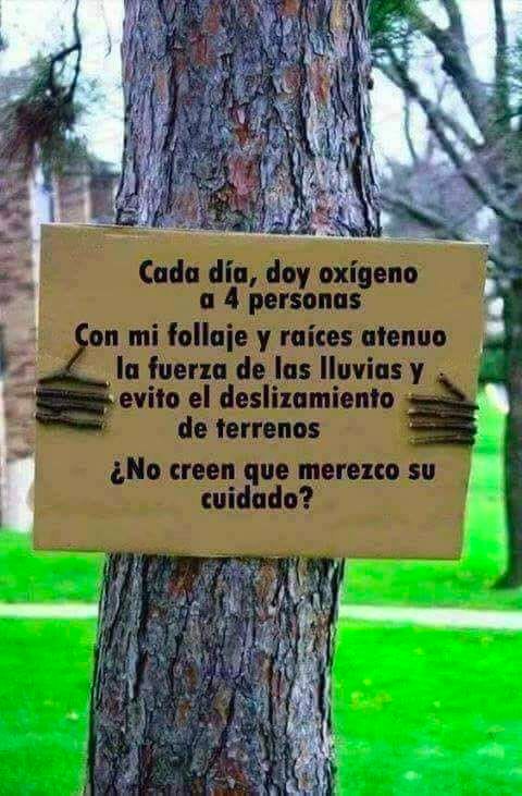 ReforestemosQro's tweet photo. 5 de junio día mundial del medio ambiente, cuidémoslo.....! 🌳🌳🌳

#ReforestemosQuerétaro #QuerétaroVerde #DiaMundialDelMedioAmbiente https://t.co/UK5rbCN6eT