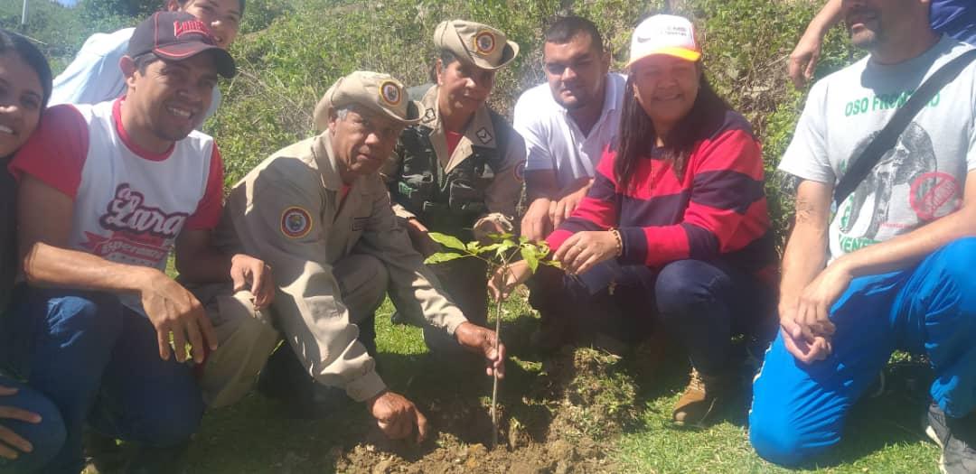 clapsabanagrand's tweet photo. En desarrollo. Ayer la alcaldesa @DiliaMEsperanza sembrando árboles en el parque municipal Andres Eloy Blanco del #McpioAEB con el fin de  darle vida a lo nuestro y comenzar la pronta recuperación del mismo. #FuerzaProductivaMinera #SoyComunicadorClap #Lara @NicolasMaduro https://t.co/FuTBferTVy