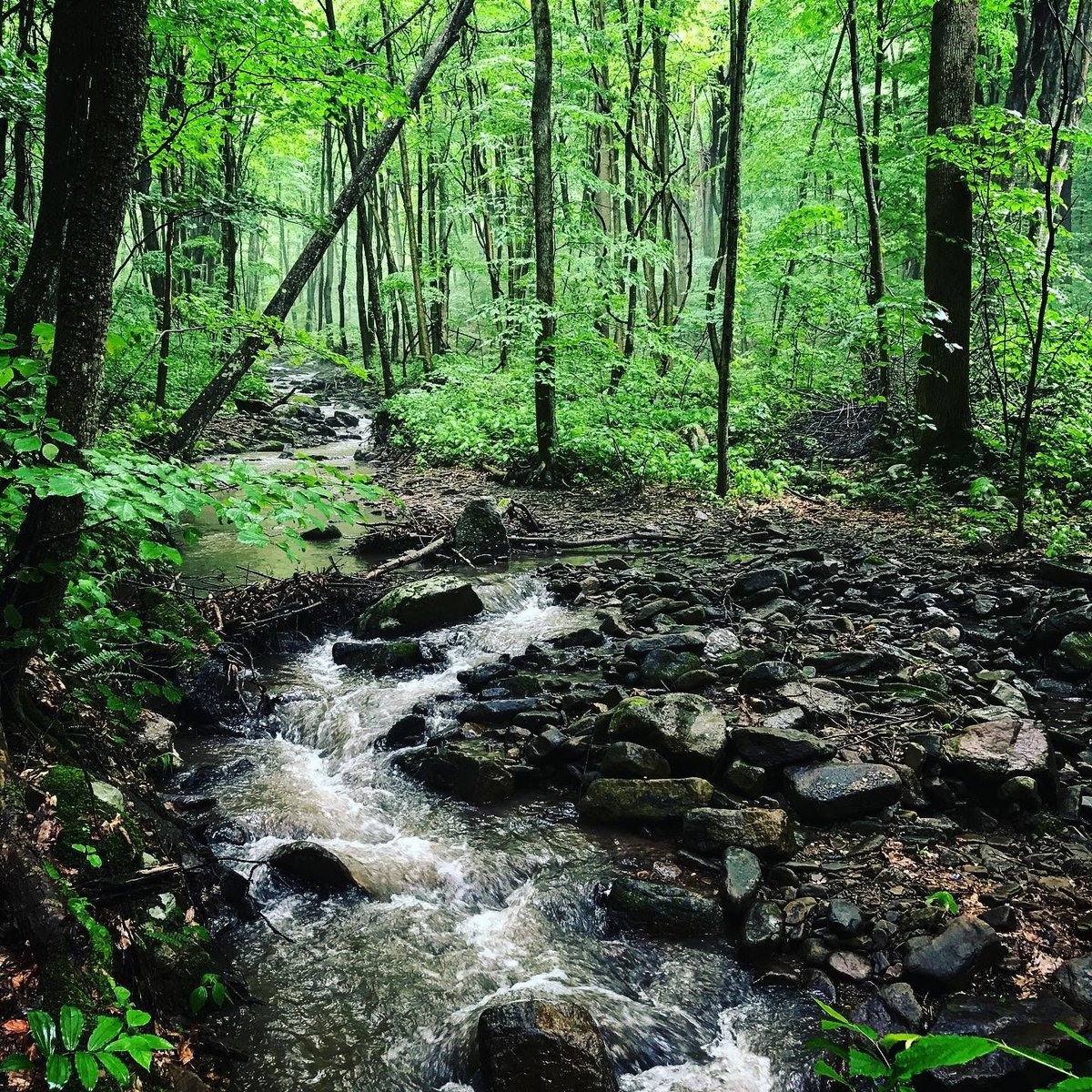 laurelhighlands's tweet photo. Doing difficult things reminds you that you can do difficult things. ❤️🌿🏕 #backpacking #beginnerbackpacker #lhht
PC: @janetrcauley https://t.co/V7Q1bXZ5Hz https://t.co/mWowyZzSb9