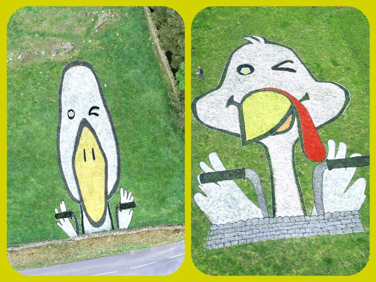 Please vote for #GooseEye in the <a href="/letouryorkshire/">Tour de Yorkshire 🚴</a> land art competition. Local villagers worked with <a href="/fieldsovision/">Fields of Vision</a> to create the stunning artwork reflecting the name of the village and also with a nod to the <a href="/theturkeyinn/">TurkeyInn</a> socsi.in/90U8I #tdy