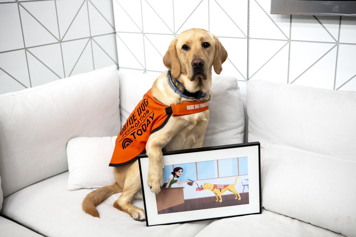 The illustrators of <a href="/PetsMovie/">TheSecretLifeofPets</a> animated Sunny to give us a glimpse of how he might really feel about early morning wake-up calls! #TheSecretLifeofPets2 (“The Secret Life of Pets 2" is from our sister company, Universal Pictures.)