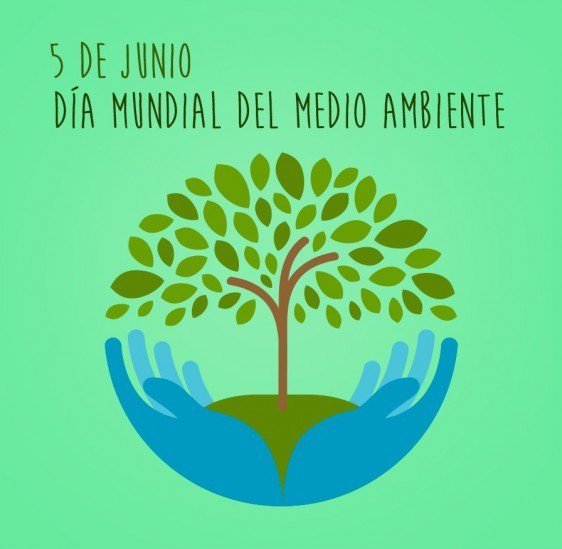 Compostverde's tweet image. El mundo🌎 se salva si cada uno pone de su parte acompañado de las 4 R♻️:
-Reducir
-Reciclar
-Reutilizar 
-Recuperar

5 de junio. Día mundial del medio ambiente.