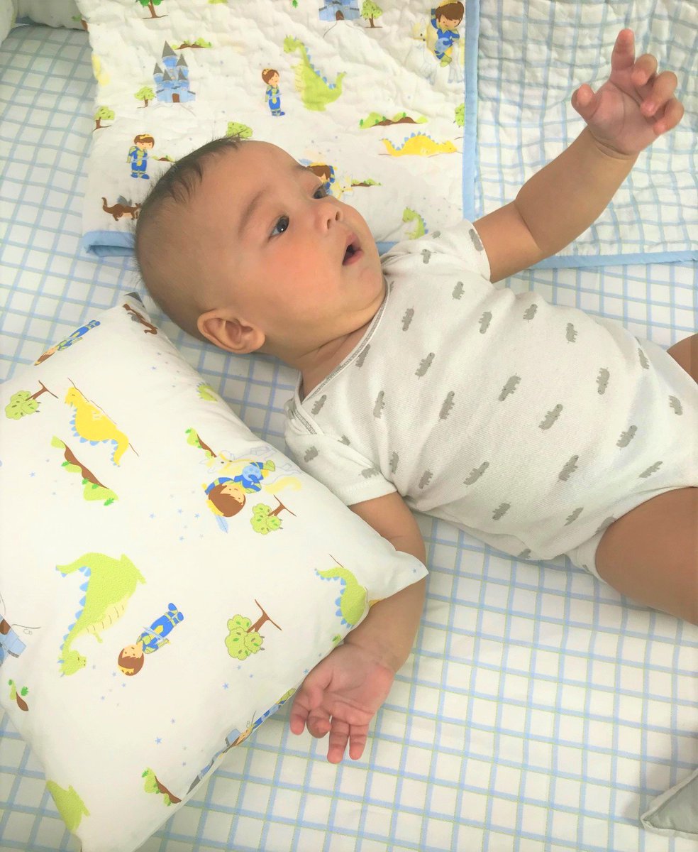 dragon nursery bedding