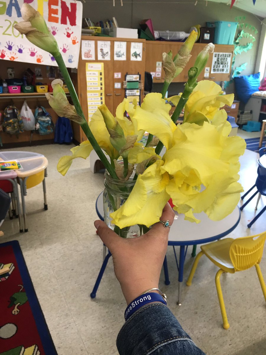 MsStocker2's tweet image. Sometimes, a simple act of kindness can make all the difference 💛 @knicktd