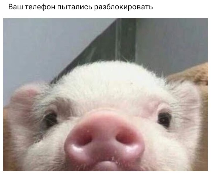 i_volkovaaa's tweet photo. Это же я ,ребят https://t.co/hbZYL0QyX6