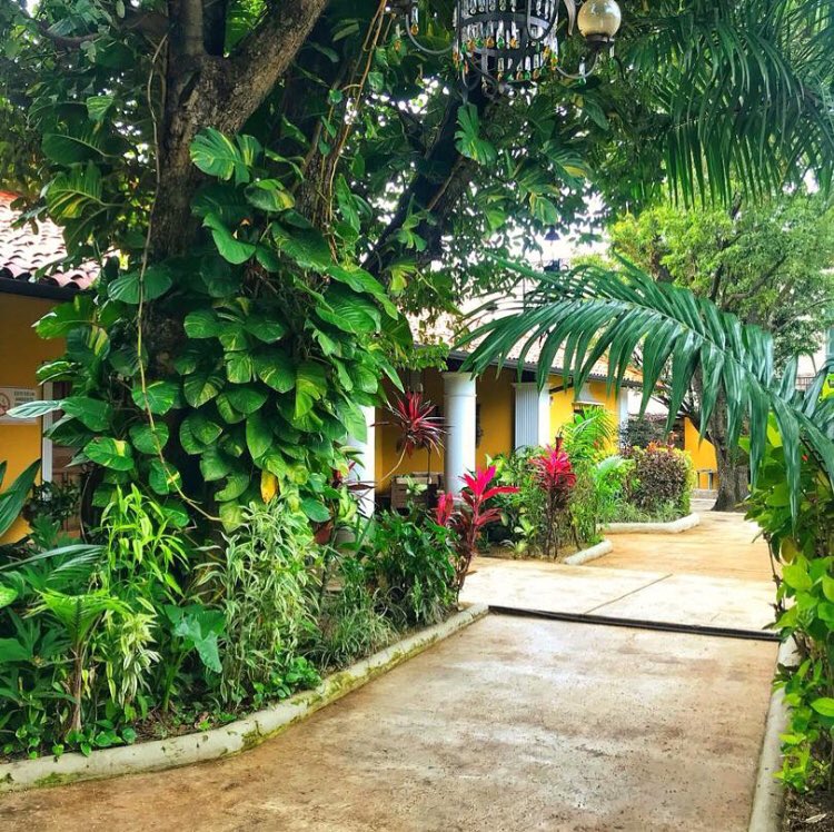 Espacios Diseñados para tu comodidad y disfrute.. con mucho gusto! 
Reservaciones: WhatsApp 0424-4150081 - reservacionescasaadelaida@gmail.com
#CasaAdelaida #Eventos #ConMuchoGusto #Jardines #Espacios #Reservaciones