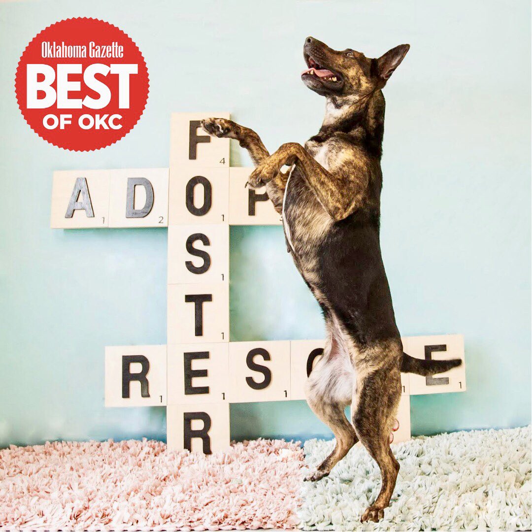 okhumane's tweet photo. Nominate us for BEST OF OKC! Visit https://t.co/8EQ0EP4X5c to nominate us for BEST NONPROFIT, BEST PLACE TO VOLUNTEER, & BEST CHARITY EVENT (The Hero Awards). @okgazette #AdoptDontShop #okhumane https://t.co/i0BAHXvi1u