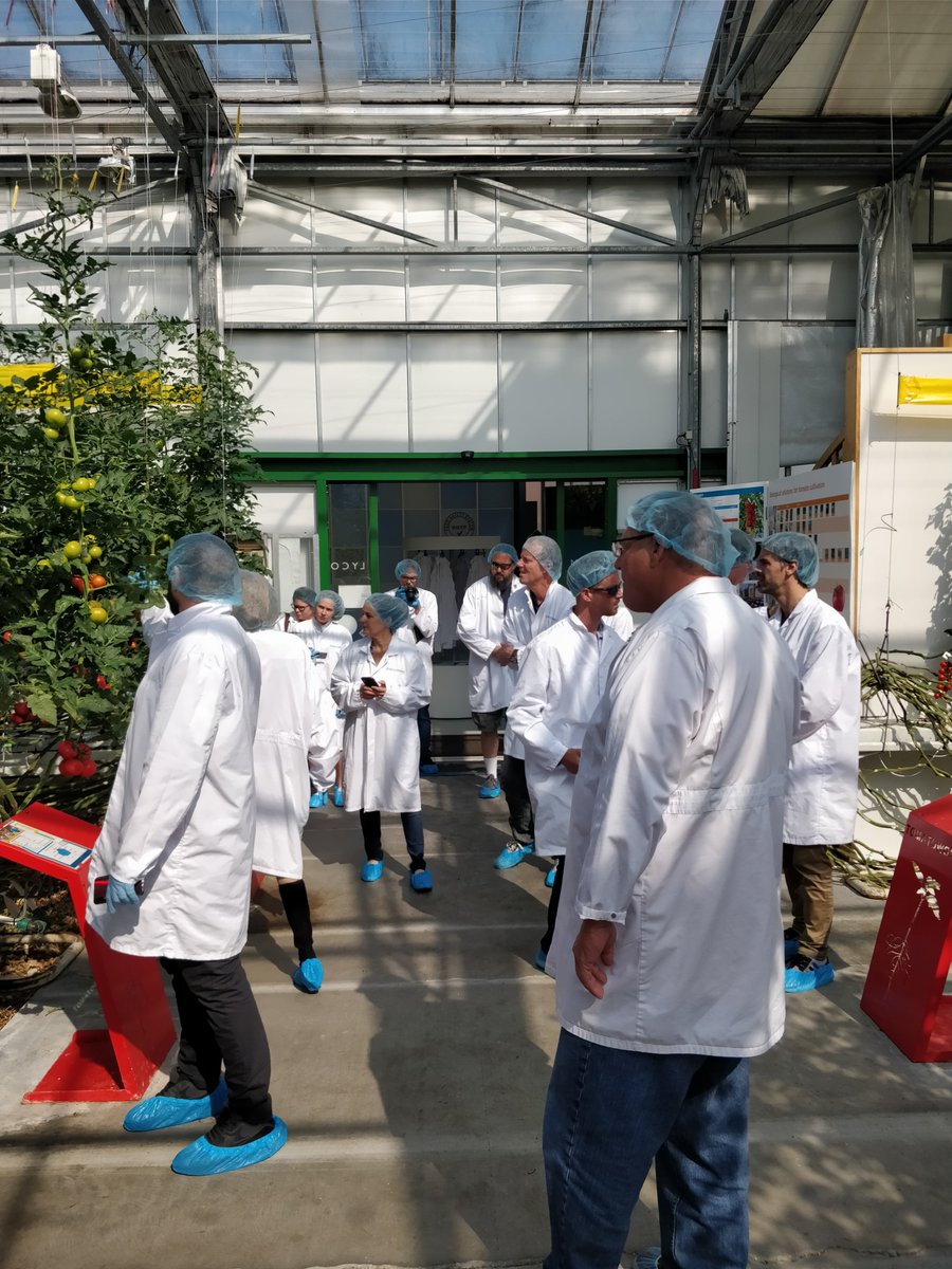 jungle_talks's tweet photo. Participants to the Mastercourse Medicinal Cannabis are exploring the world of horticulture now, visiting our partners among others @Havecon @Codemasystems @Meteorsystems @RidderGroup. Thanks for your efforts! #jungletalks #MastercourseMedCan https://t.co/bNEK0fOFyj