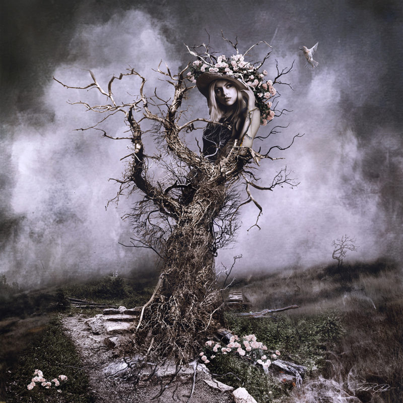 ShiftArtWebsite's tweet photo. "Naturalistic settings, such as dramatic sunlight and beautiful landscapes, inspire Phil to create stirring images that capture the viewer’s imagination. Read more in the Phil Clark Interview
" https://t.co/PN5RZFlu2z #PhilClark #ShiftArt #Photoshop https://t.co/qYXoRF4hB6