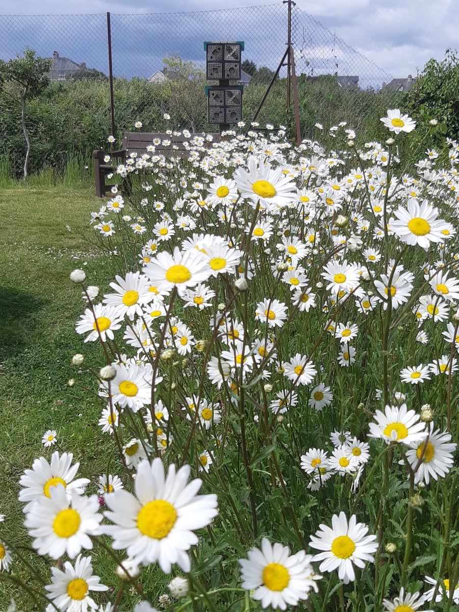 Andrew Whitehouse 〓〓 tweet media