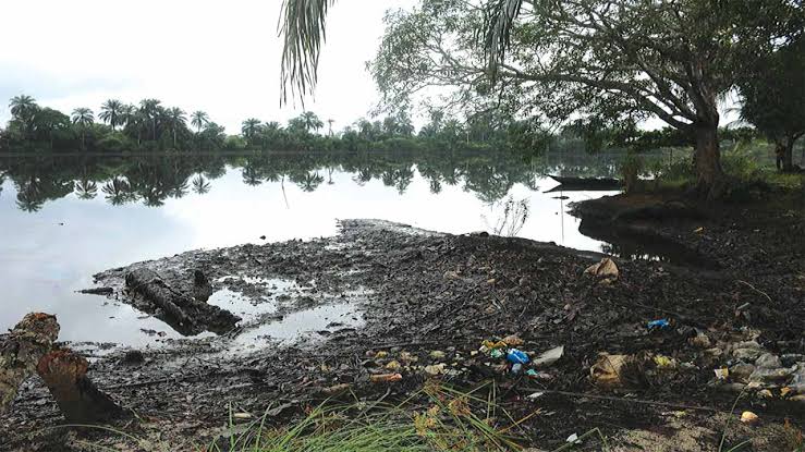#WorldEnvironmentDay : "The Ogoni village still suffers from the effects of oil spillage,  the water is affected, bad soil,  fishing has been on hold, health state is terrible, even though Nigeria govt claimed to have spent so much...". - Salaudeen Hashim on #Buharimeter