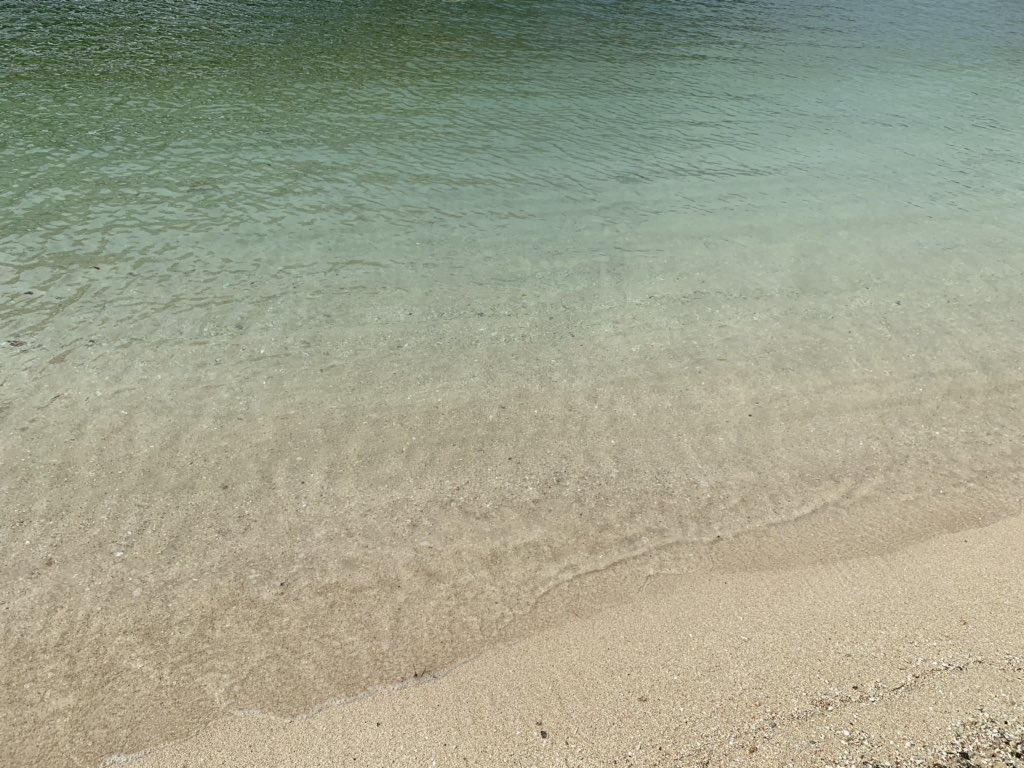 ngxunlu's tweet photo. 沖縄の夏がきたーー https://t.co/qQgFCDeHiE