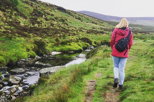 Following our path in the Wicklow Mountains #irelandtravel #irelandgram bit.ly/2Xrx0Us
