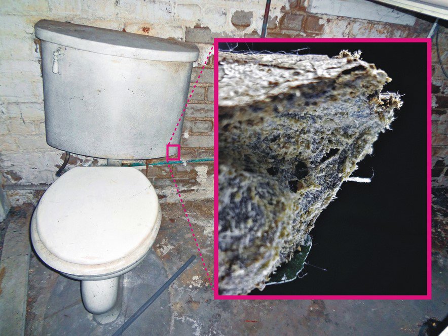 pgtharvon's tweet photo. Was your Las Vegas home built before 1985? Check for Asbestos before any major plumbing repairs!
https://t.co/V8wvQFAdFn https://t.co/x6EnRkmwft