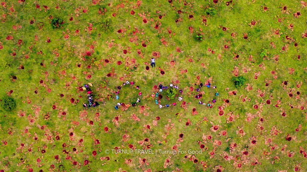 TurnupForGood's tweet photo. Be a part of the solution, not the pollution.
1000 trees
40 participants
π Aberdares
Partners: @MitiAlliance @PeperukaWorld
@OgilvyAfrica
Where next π°πͺ @magicalkenya?
#BeatAirPollution
#PandaMitiPendaKenya
#WorldEnvironmentDay
#TurnUpForGood
#EidMubarak
#MeILoveKenya https://t.co/fpAAB2yy6A