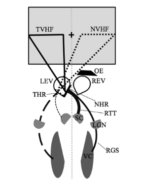 treatise on materials