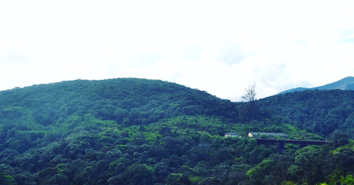 Sync in ... ☮️

#WorldEnvironmentDay2019 #nature #hills #mountains #landscape #scenery #travel  #travellust #wanderlust #wander #naturephotography #roamtheplanet #natgeo #divinedestination #outdoorphotography #escapetheordinary #stepintothewild #naturelovers #explorenature #hike