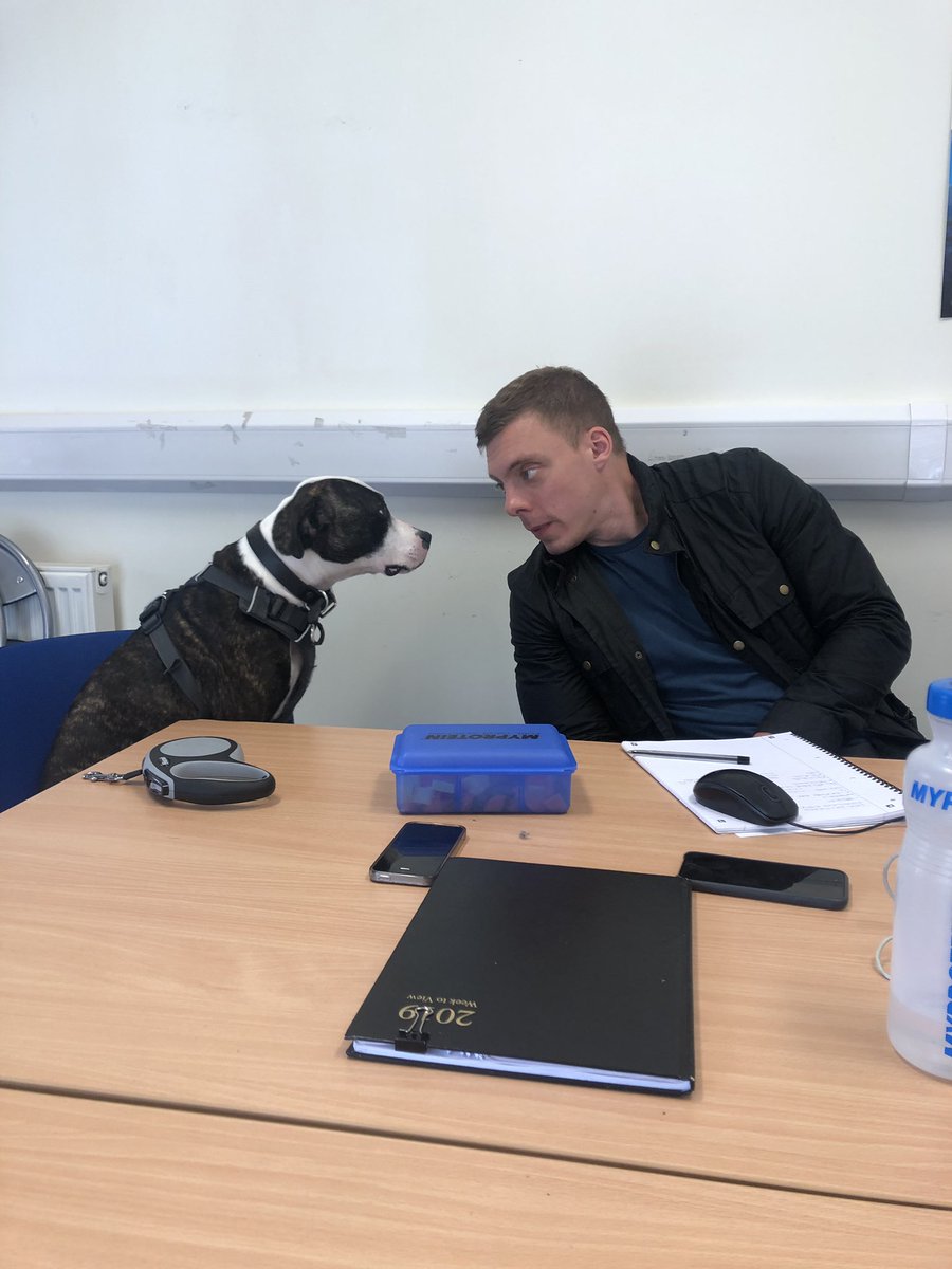 s1_thompson's tweet photo. Serious conversations in the office today.  We always welcome bailey’s input. @ReShapeOps taking the feedback well. https://t.co/k48yF1wddx
