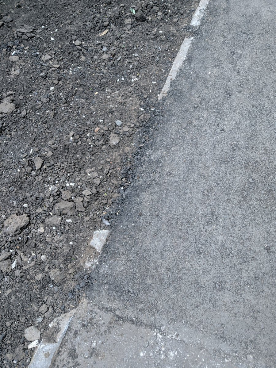 Серый tweet media