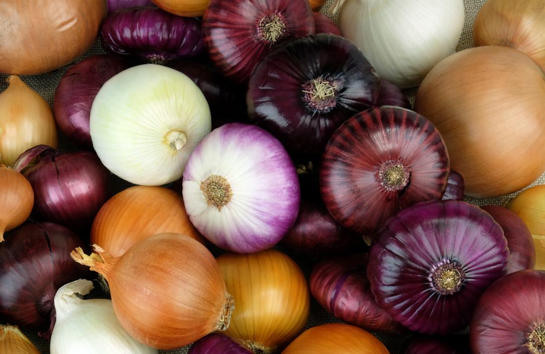 TheLandExperts's tweet image. Onions have given us a good reason to cry! Turns out that America's Onion Industry Helps Sustain a Healthy Planet! Gills Onions in California use onion remains to generate enough electricity to supply a year's worth of power to over 450 residential homes. bit.ly/2HVR9g2