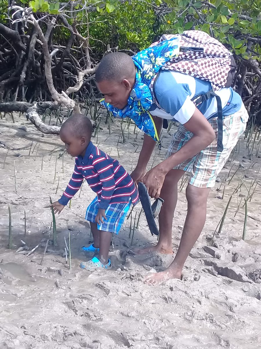 eawildlife's tweet photo. Many thanks to all who attended the mangrove tree-planting event in the Mida Creek, Watamu! Congratulations to @cobecnet our Marine Programs Manager. #HewaSafiJukumuLetu #WorldEnvironmentDay #MidaCreek #EAWLS #Beatairpollution https://t.co/sMjQiXSKsO