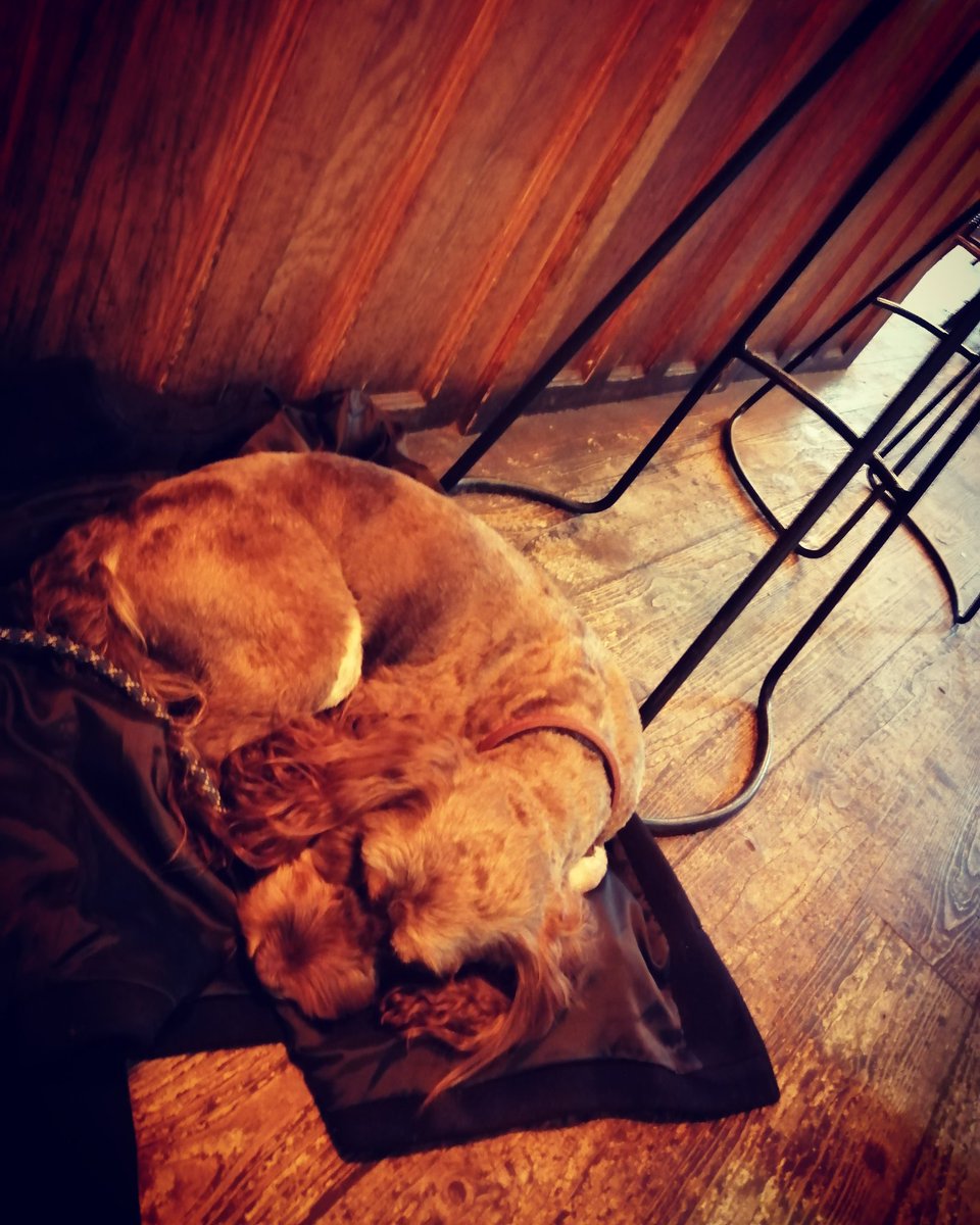 saison_bar's tweet photo. Roscoe does a snooze. @rcoffeeofdidsbury ☕ 🐶
#burtonroad #didsbury #didsburylife #westdidsbury #manchesterbeer #manchester #craftbeer #supportlocal #drinklocal #manchestervenues #rcoffee #workerbeecoffee https://t.co/T1W4vSpZjH