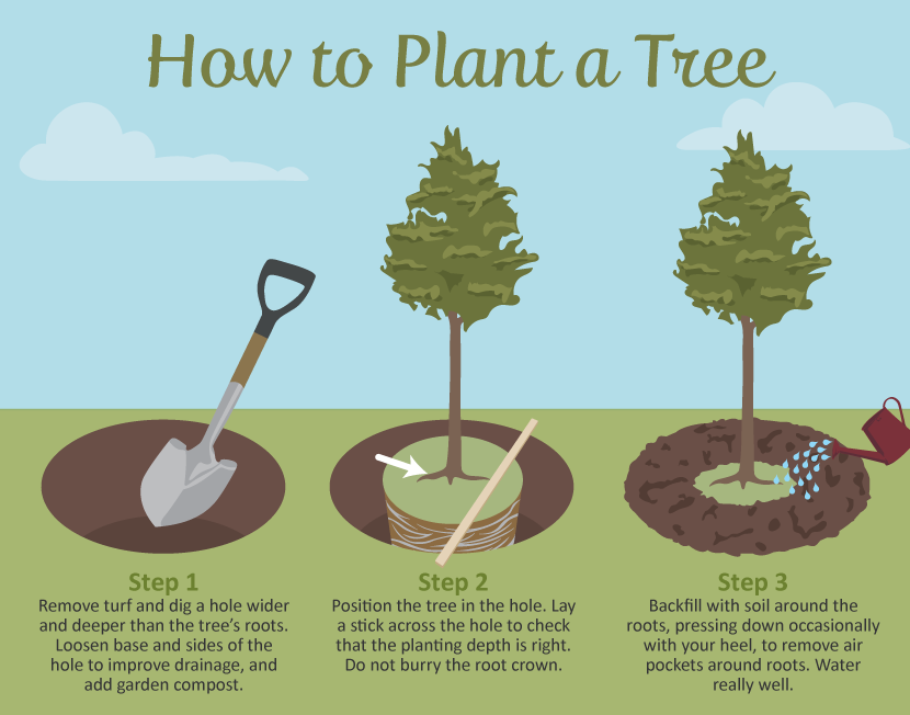 WoodsyAnimation's tweet photo. When we reduce waste, #compost, support local #farmers, #compost, reduce our #plastic use, conserve energy, and/or plant #trees, we give the gift of good health and, yes, life to our planet and everyone who lives on it. Give a hoot, don't pollute! #WorldEnvironmentDay https://t.co/1vRkdmz59C