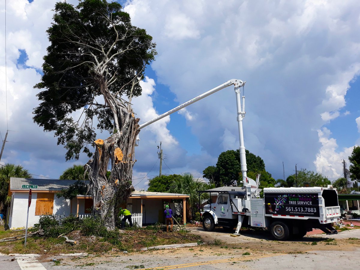 savemoretreesrv's tweet photo. From tree removal to pruning and trimming, SaveMore Tree Service handles it all! ππ΄π²π³ Give us a call for a no cost estimate! Upfront pricing, professional and on time service. 561-513-7883
https://t.co/R6pvY1Q7Fm #TreeService #SaveMoreTreeService #TreeCare #Landscape #SFL https://t.co/XHI3QsY09r