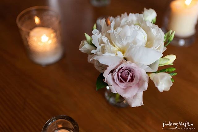 puddingandplum's tweet photo. Elegance, romance &amp; sophistication. These flowers have it all. 
@tinekefloral 
@chatsworthweddings 
#flowers #weddingflowers #centrepieces #flowerphoto #freesias #peonies #roses #feminine #romantic #candles #chatsworth #chatsworthwedding #puddingandplump… https://t.co/2Jkx9PAwNs https://t.co/QBEJpWC3qk