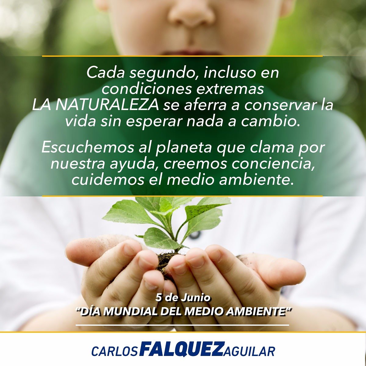 Cada segundo, incluso en condiciones extremas LA NATURALEZA se aferra a conservar la vida sin esperar nada a cambio.

Escuchemos al planeta que clama por nuestra ayuda, creemos conciencia, cuidemos el medio ambiente.

05 de junio "Día Mundial del medio Ambiente"