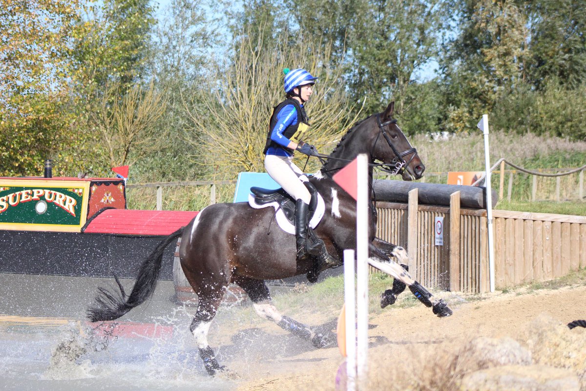 Absolutely delighted that our lovely mare Squirrel (Tullibards Romeo) has scanned in foal to <a href="/ClementsEquine/">Clements Equine</a> Renkum Olinthos today! 🤞🏼for the next few weeks. 🧡🐴