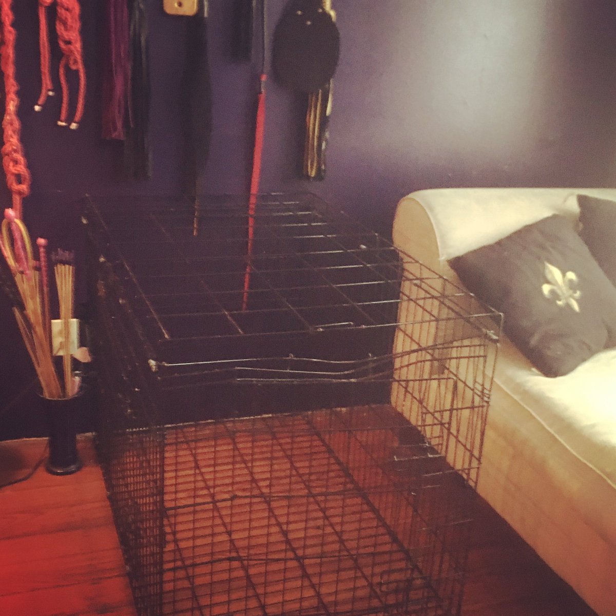 Mistress_Erin's tweet photo. New cage. Who’s up for an overnight in Mistress Erin’s Home for Wayward Girls? https://t.co/LT6W8Isec4