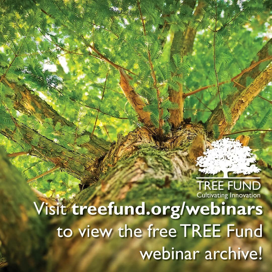 TREE_Fund's tweet photo. Did you miss @akoeser and Dr. Hauer’s webinar highlighting TREE Fund research on May 29? No problem! Watch it here https://t.co/YIRgWPbFjS anytime! 🏡🌳💚
>
>
#webinarwednesday #webinar #treefund #treeresearch #treeeducation #treeendowment #cultivatinginnovation https://t.co/QaUq0xGWg2