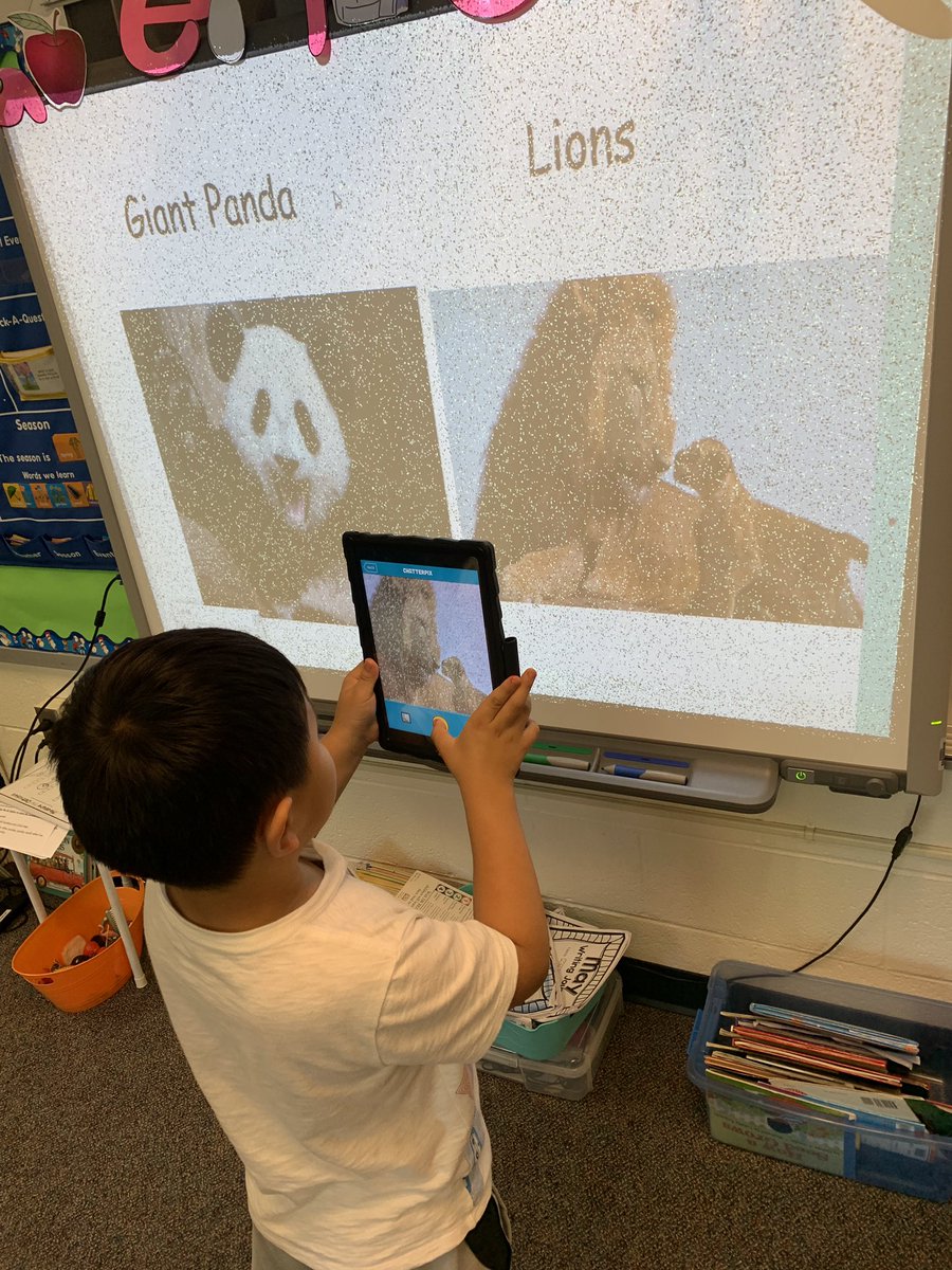 MrsKChmelik's tweet photo. Our animal research projects have turned us into animal experts! 🦁 📝🐼 🌟@kindergartenhfb #SuperWriters #hfballstars #HFBTweets #AnimalExperts #AllAboutBooks #ChatterPics #APSisAwesome https://t.co/vYF1mUxv00