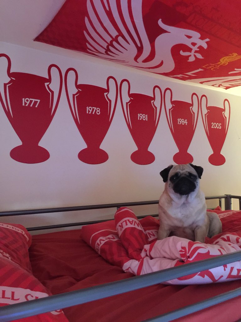 pixie_pug's tweet image. We need to update our wall #ChampionsLeague #ChampionsOfEurope #LFC