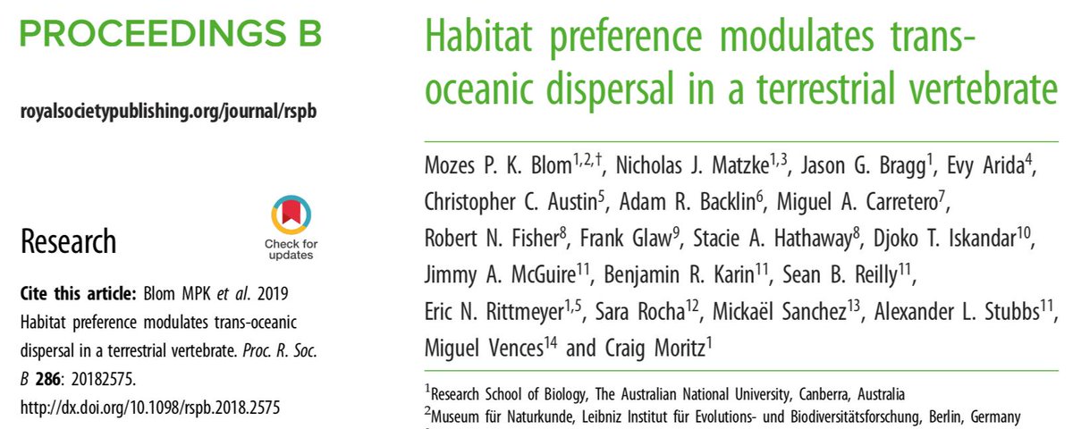 In our new Proceedings B paper that just came out, we show that skinks living in coastal habitats disperse to new islands ~14x faster than non-coastal skinks, and made it all the way from New Guinea to Africa, Hawaii and Polynesia! royalsocietypublishing.org/doi/10.1098/rs…

#herps #phylogeography