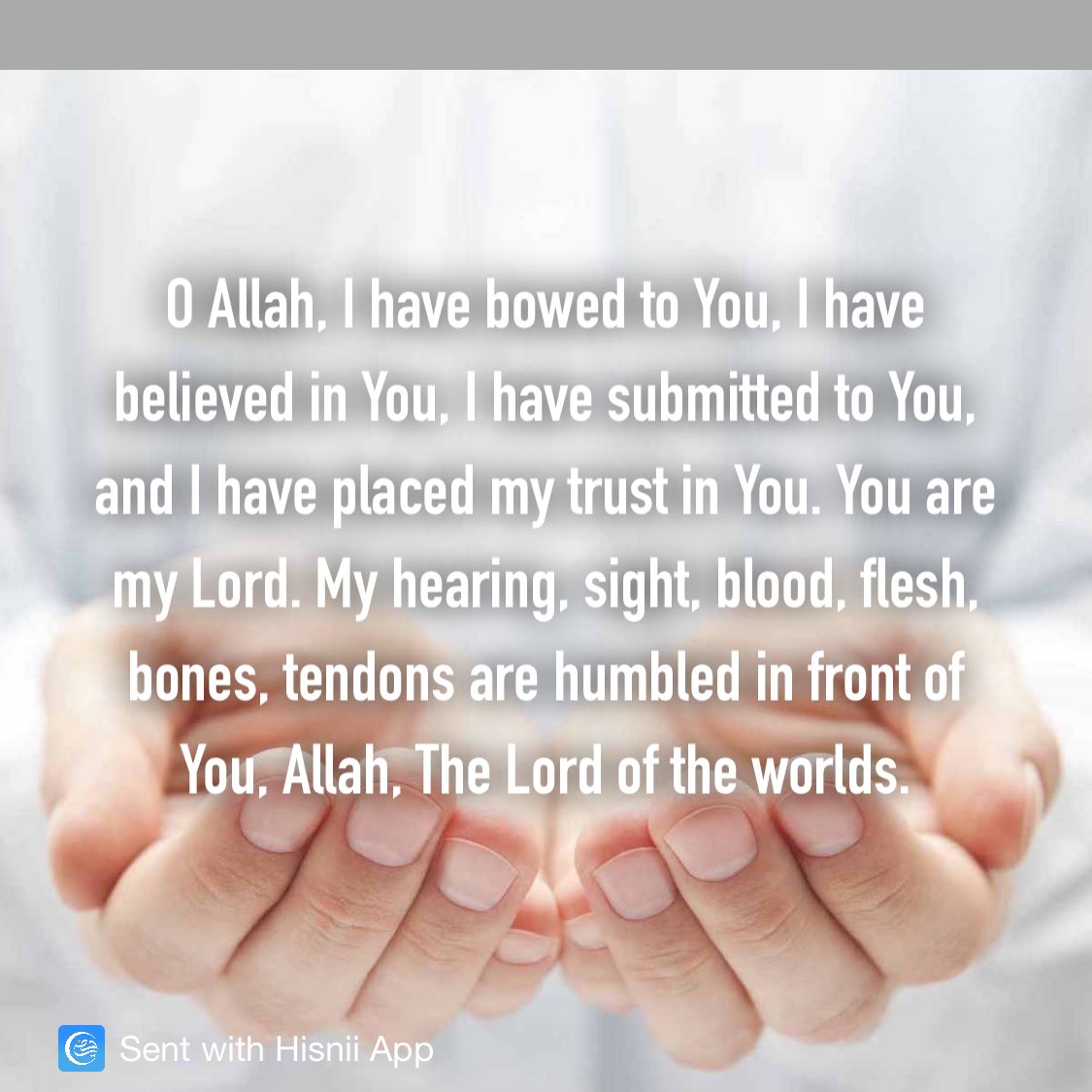 Ya_Aminah's tweet photo. https://t.co/YTLMqSGQ9n