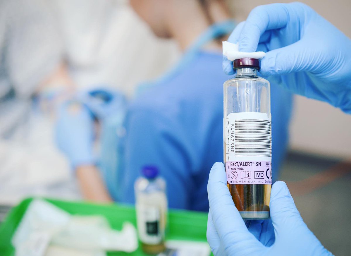 Cat Lamoon tweet media