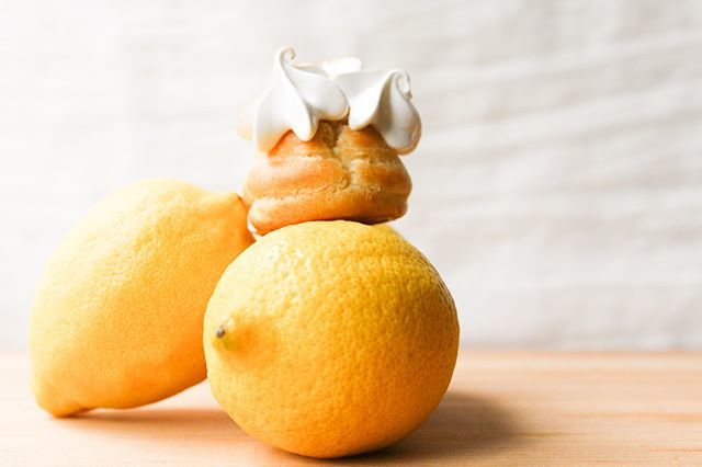 byjaclyn's tweet photo. 🍋The recipe for these delicious lemon meringue cream puffs is now live on the blog! 🍋 These delicious cream puffs are filled with a bright and light lemon curd filling and topped with a golden meringue crown. ⠀
⠀
#lemonmeringue #lemon #creampuff #lem… https://t.co/fFVkC4fXq3 https://t.co/ePjZ38wdiw