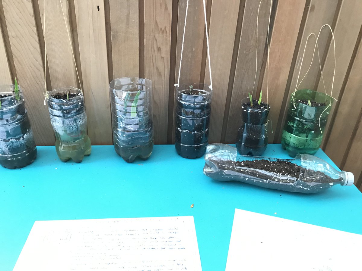 JudithKerrPS's tweet image. Come and visit our Science Exhibition! Exhibiting work produced during our Climate Awareness Science Week in May. Love bees,  reduce light pollution, protect endangered species, the power of plants - just some of our key messages. #climateaware #ourfuture