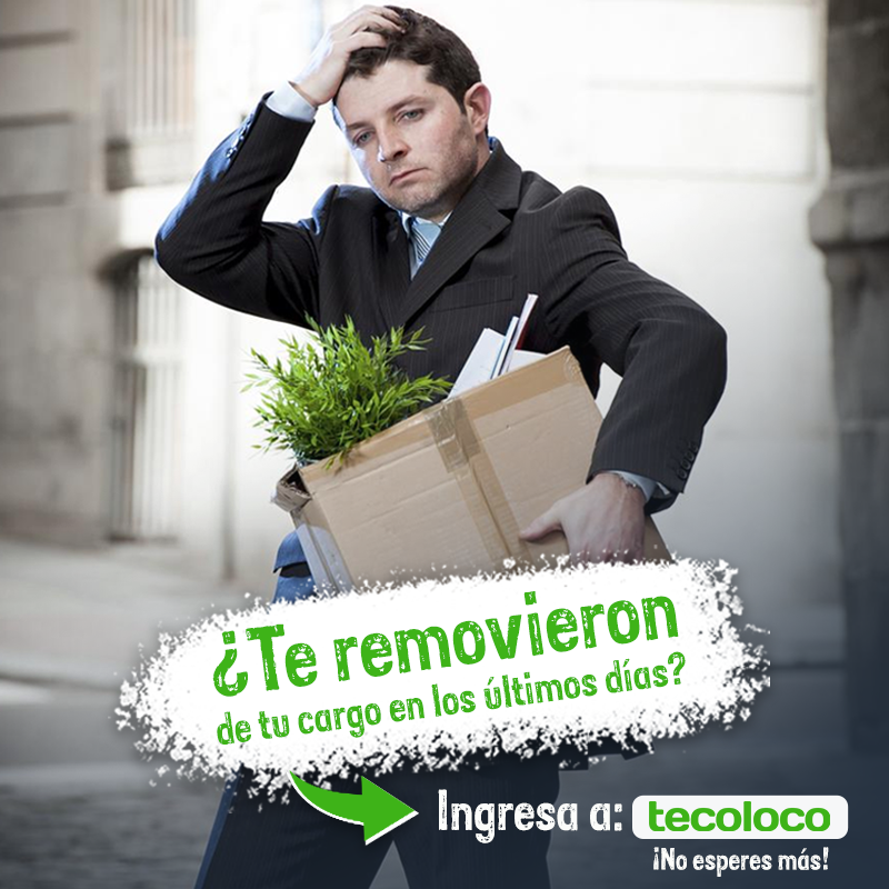Tecoloco.com tweet media