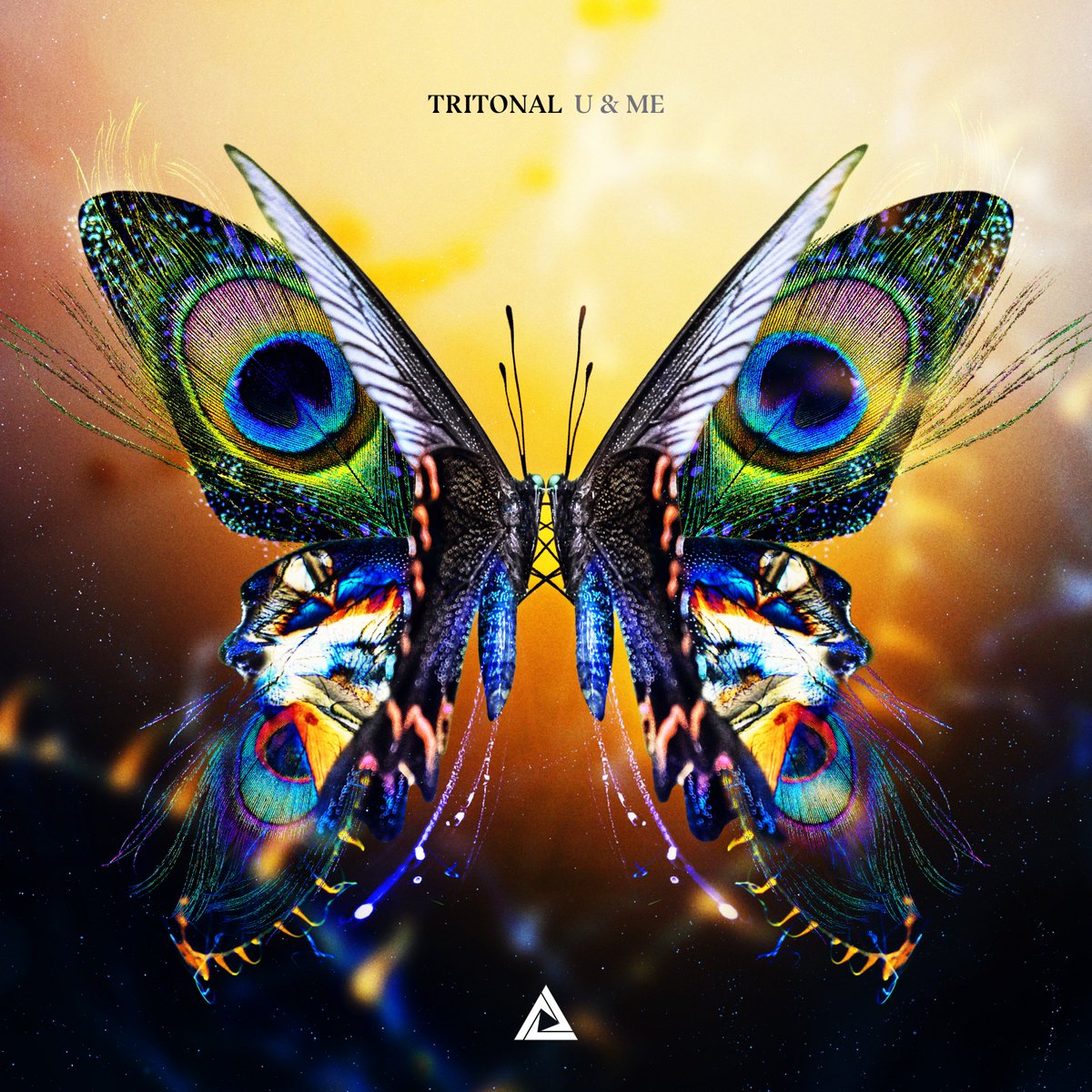 Enhanced_Music's tweet photo. What has been your favourite track @Tritonal have released from the album so far?⠀
🦋 U Found Me⠀
🦋 Out My Mind⠀
🦋 Ready⠀
🦋 When I'm With U ⠀
🦋 Hard Pass⠀
🦋 Little Bit Of Love⠀
🦋 Love U Right⠀
🦋 Just Like U ⠀
🦋 Real⠀
🦋 Diamonds⠀
🦋 Easy ⠀
🦋 Gonna Be Alright https://t.co/OBWKcz9xIC