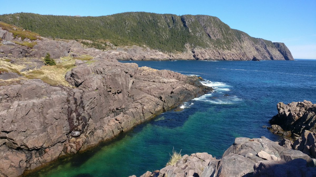 More scientific diving firsts for me today: 1st time collecting Alcyonacea soft corals by scuba and coldest dive to date at a brisk 1.7°C. The unexpected was experiencing the difference in magnitude between water and air temperature (20°C). The things you learn as a postdoctor.