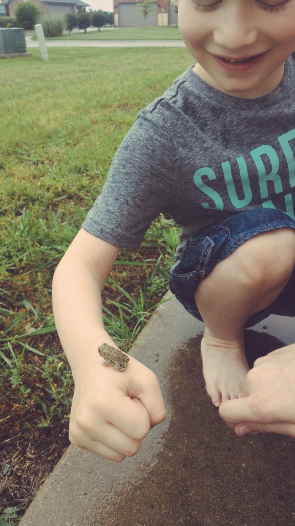 AUsomeArmadillo's tweet photo. Teeny tiny toad hunting.
#Autism #KeepOnRolling #TibialTorsion #CutiePie #LittlestArmadillo #Toady #TinyToad https://t.co/KC8bGl6ShE