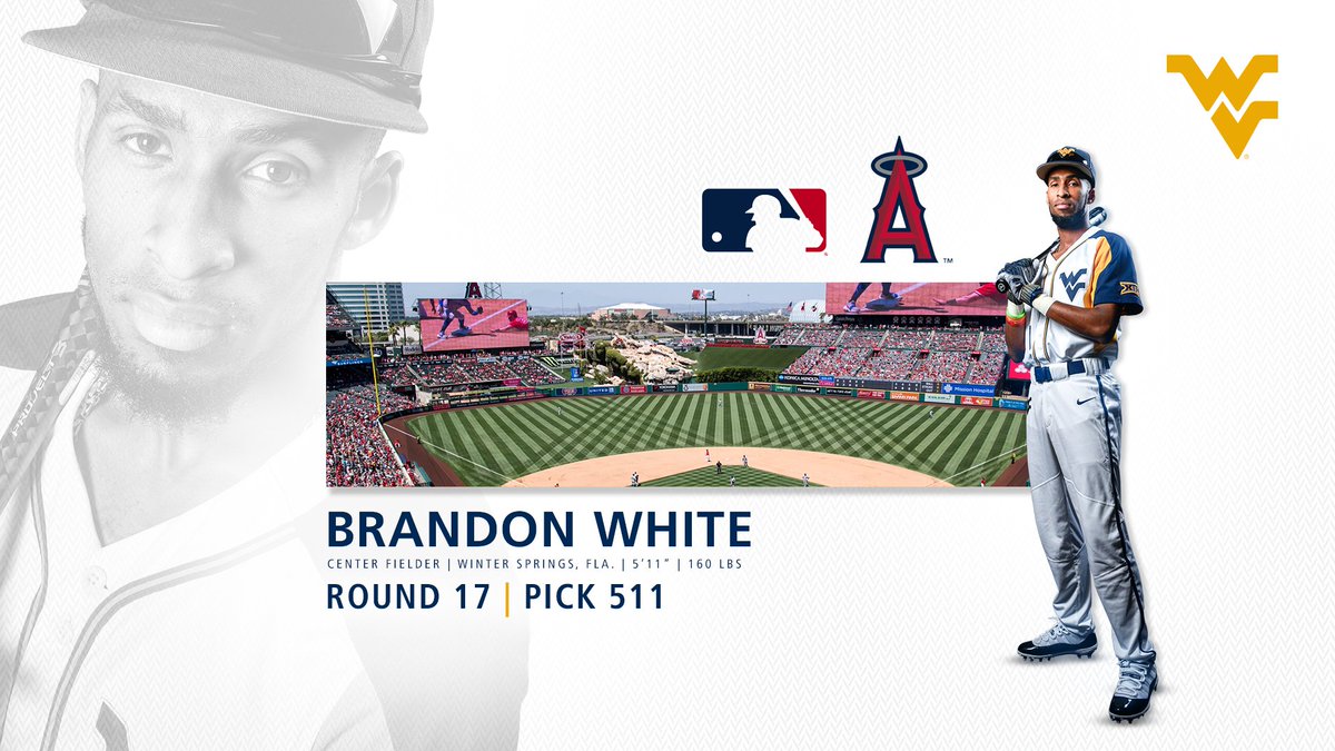 WVUBaseball's tweet image. Congratulations to Brandon White, drafted by the Los Angeles @Angels in the 17th round!
#HailWV