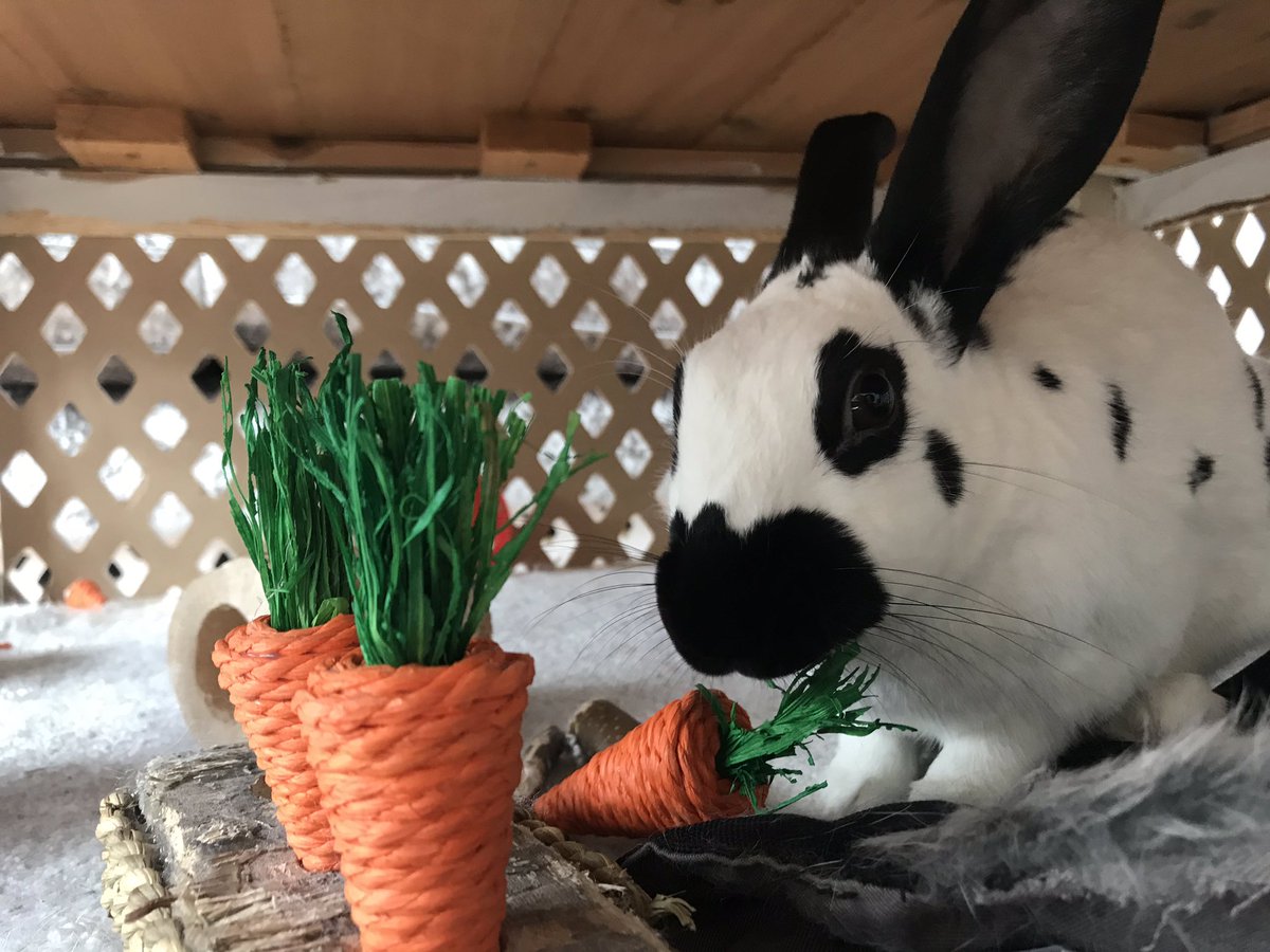 LauraAlexandra8's tweet image. Me and Francis loving the tunes @Heart4Counties @jonwyer @HannahDaisy82 great show! X #awesomeshow